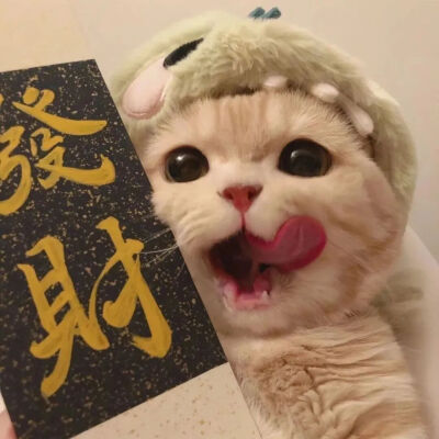 一对児