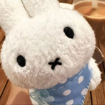 米菲兔