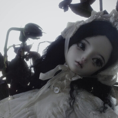 SoerniRes