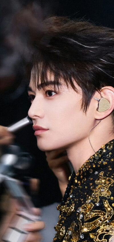 丁禹兮
