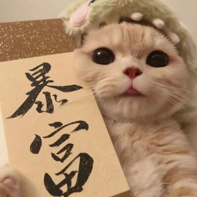 一对児