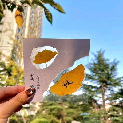 秋天背景图