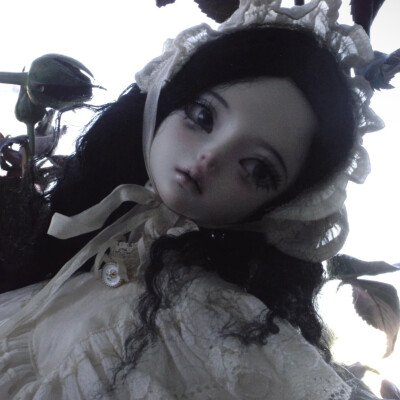 SoerniRes