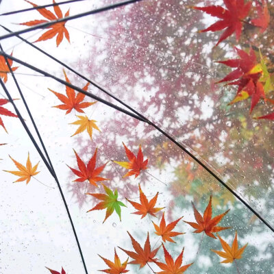 秋天背景图