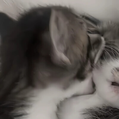 可爱