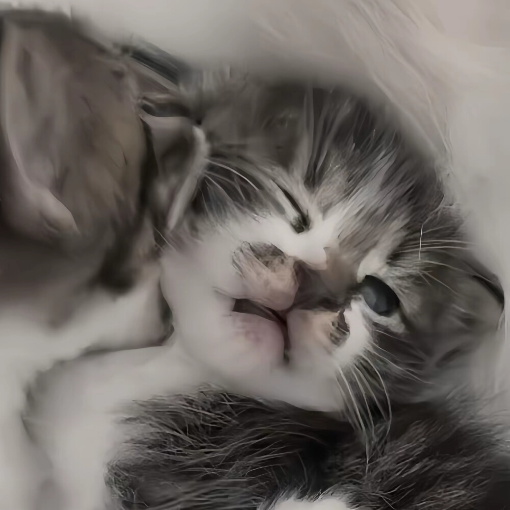 可爱