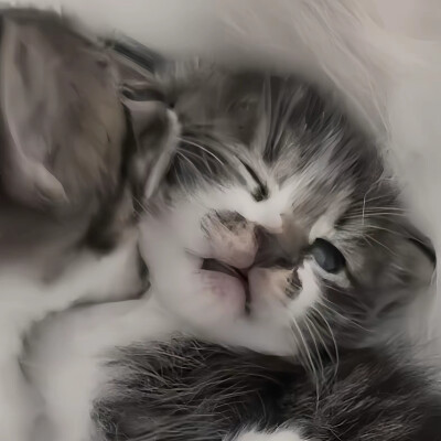可爱