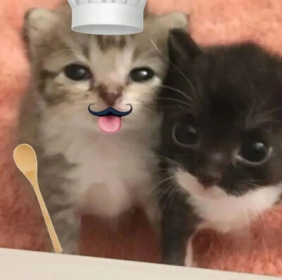 小猫情头