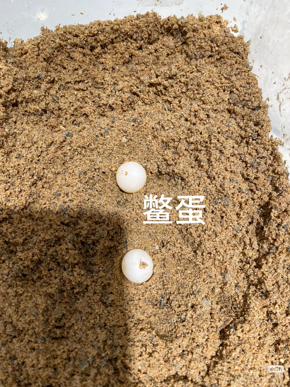 。