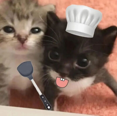 小猫情头