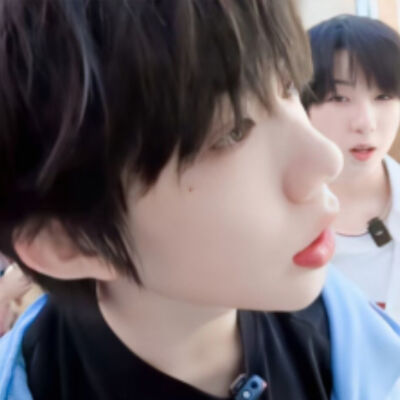 猪猪
