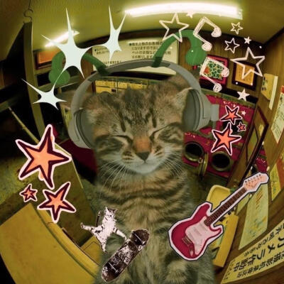 梦核小猫咪