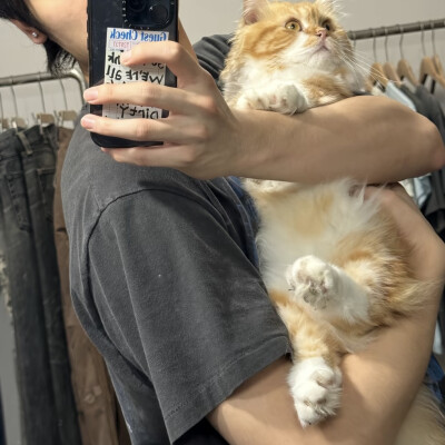 男头｜人不会珍惜免费的东西包括真心