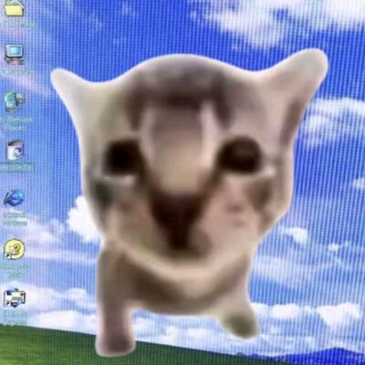 梦核小猫咪