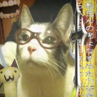 梦核小猫咪