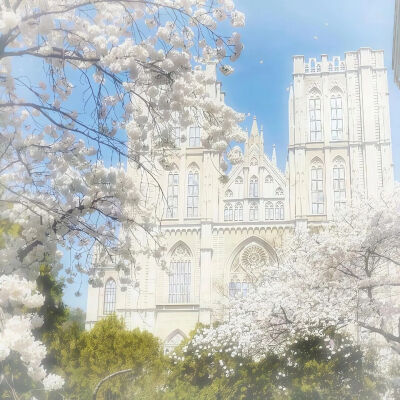 背景图