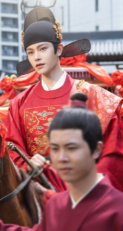 丁禹兮《花开锦绣》赵凌