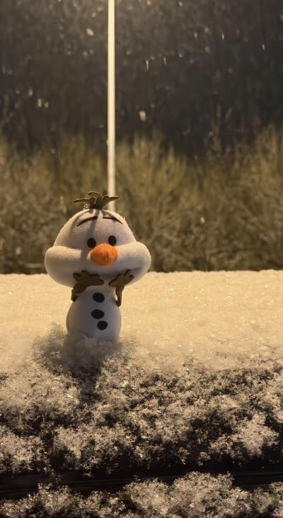 雪宝