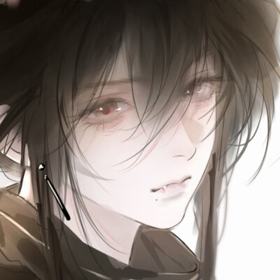 萌狗