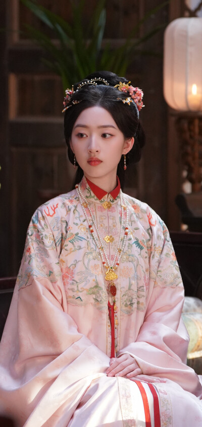 邓恩熙《花开锦绣》傅庭芸