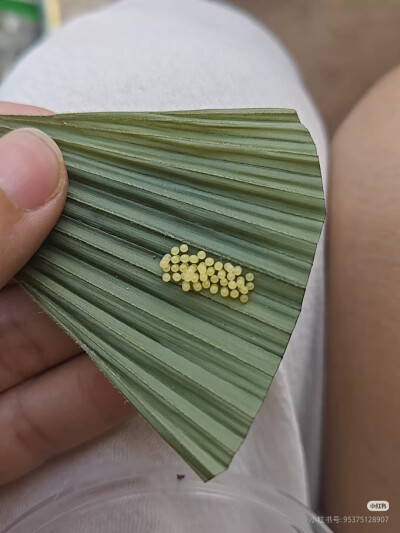 。