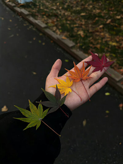 等待秋天