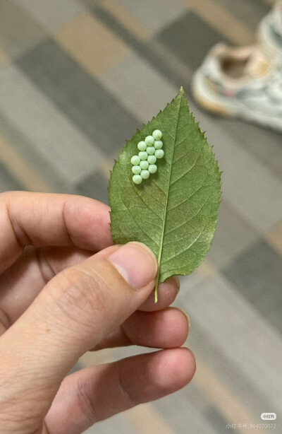 。