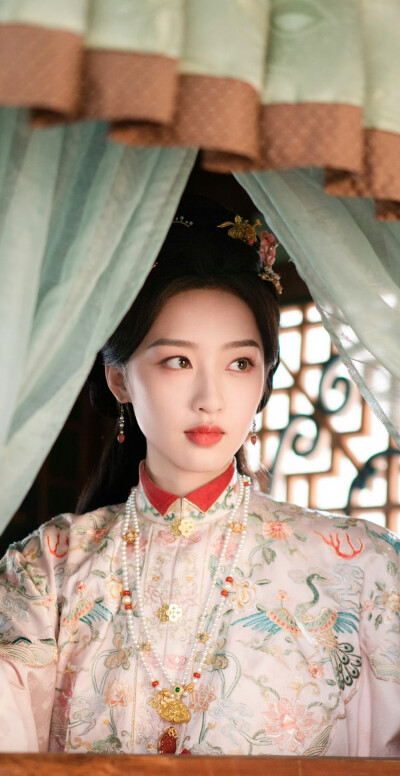 邓恩熙《花开锦绣》傅庭芸