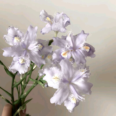 紫色背景图