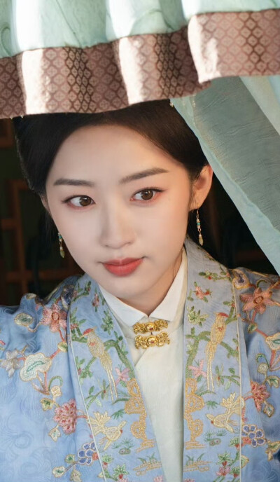 邓恩熙《花开锦绣》傅庭芸