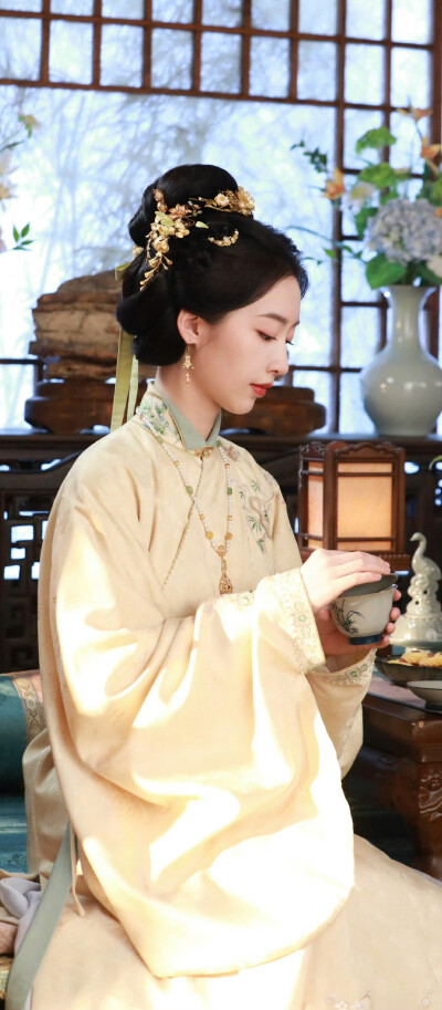 邓恩熙《花开锦绣》傅庭芸