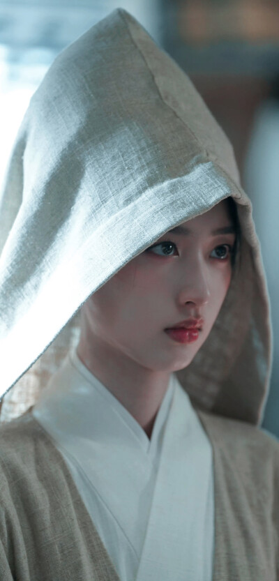 邓恩熙《花开锦绣》傅庭芸