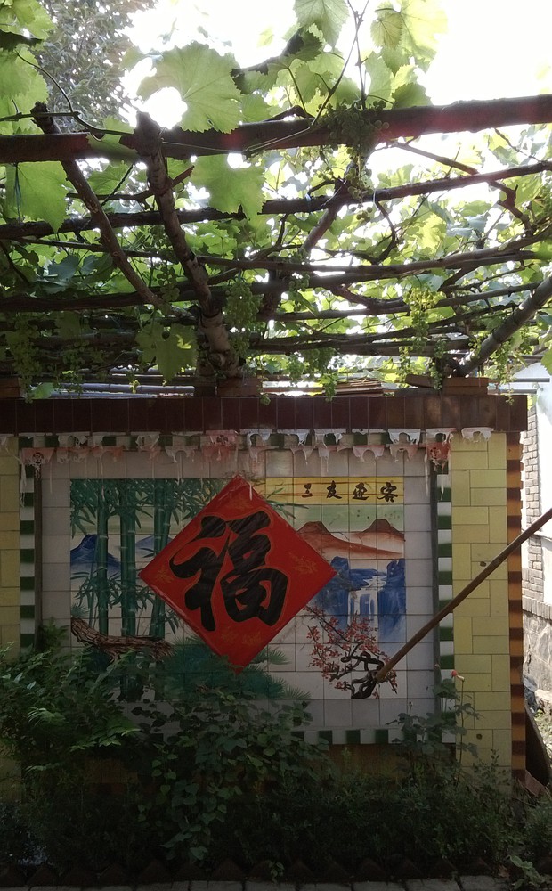 庭院深深 - 老家的小院儿，小乖的爷爷在院子里种植了N多的好吃的，好看的~~~进门的影壁墙，硕果累累的葡萄，馋的小乖要立刻吃，爸爸摘了一颗，小乖：好酸呀~~~