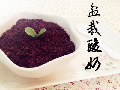 『盆栽酸奶』夏日里的小清新。 - 超超超超超级简单的盆栽酸奶，给这个躁动的夏天创造一抹小清新吧~