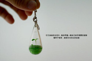 随身农场是一款富有DIY精神的生态产品，它可以让我们自己在小小的空间里培育各种绿植，甚至是我们生活中所需要的蔬菜，而这过程就像玩游戏一样充满了乐趣。里面有四个季节的种子，有大白菜、番茄、葱、莴苣、甜瓜、黄瓜、紫花菜等等。<br /><a class='shortlnk' href='/s/169d54ffd' target='_blank' title='http://www.cngadget.cn/pei-yu-hua-fang.html'>http://duitang.com/s/169d54ffd</a>