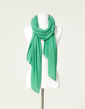 这款亚麻质地的绿色围巾看着就很喜欢，文艺又很春天的气息~<a class='shortlnk' href='/s/07fdd1f3b' target='_blank' title='http://www.zara.com/webapp/wcs/stores/servlet/product/ch/zh/zara-S2011/61146/315514/%E4%BA%9A%E9%BA%BB%E5%9B%B4%E5%B7%BE'>http://duitang.com/s/07fdd1f3b</a>