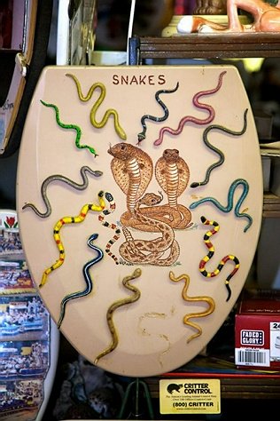 马桶盖博物馆de 收藏 - <a class='shortlnk' href='/s/115823609' target='_blank' title='http://pindao.blogbus.com/shenghuo/2011021815951.html'>http://duitang.com/s/115823609</a>