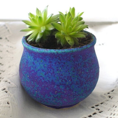 喜欢蓝色的陶瓷品。=。=我会舍不得用。succulent<a class='shortlnk' href='/s/13aaef3aa' target='_blank' title='http://www.etsy.com/listing/47226291/tiny-velvet-purple-tea-cup-indoor-garden'>http://duitan…
