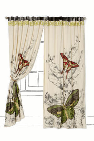 Sketched Wings Curtain - Anthropologie.com  花鸟余香<a class='shortlnk' href='/s/122d350bb' target='_blank' title='http://www.anthropologie.com/anthro/catalog/productdetail.jsp?id=083294&amp;catId=HOME-NEUTRAL-HOME&amp;pushId=HOME-NEUTRAL-HOME&amp;popId=HOME-COLOR-PICK&amp;navActio'>http://duitang.com/s/122d350bb</a>