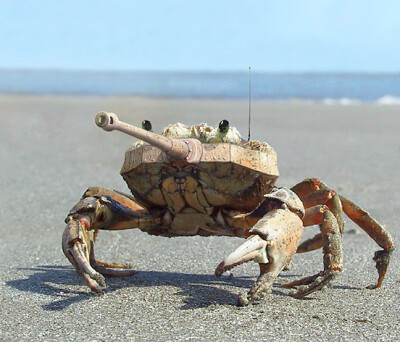 螃蟹做成的坦克？ The Design Inspiration TankCrab <a class='shortlnk' href='/s/077e67e4c' target='_blank' title='http://thedesigninspiration.com/photos/tankcrab/'>http://duitang.com/s/077e67e4c</a>