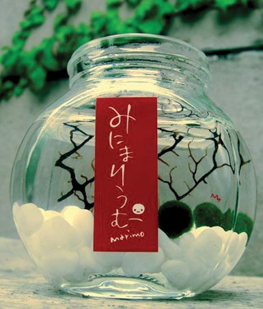 北海道幸福海藻球~