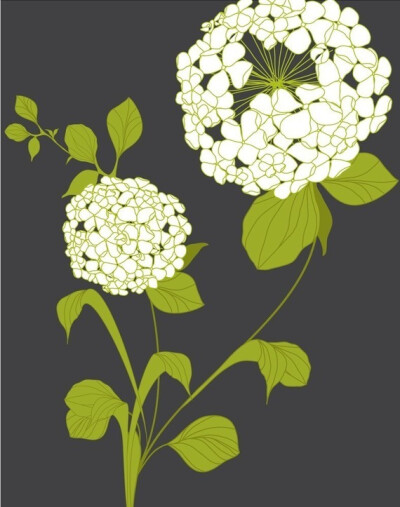 Hydrangea 11x14 by redbeandesign on Etsy Hydrangea - 11x14