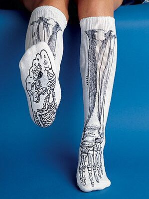 将骨骼肌肉结构绘在袜子上的想法不错~小物上的出彩细节处理会不会让生活更有意思一点？
