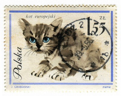 继续一个波兰的邮票，罕见的中国水墨画画的小猫，碧蓝色的眼珠是亮点