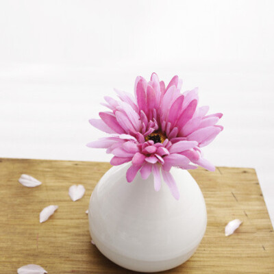雏菊 与 花瓶