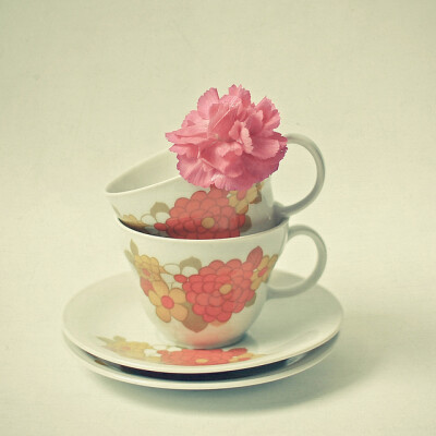 Teacups and a Flower