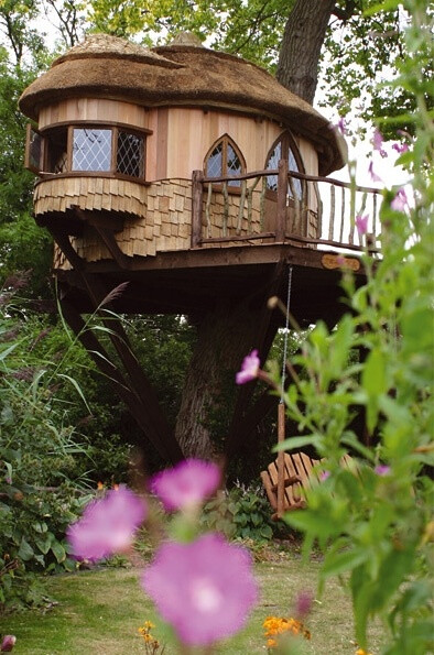 tree house！