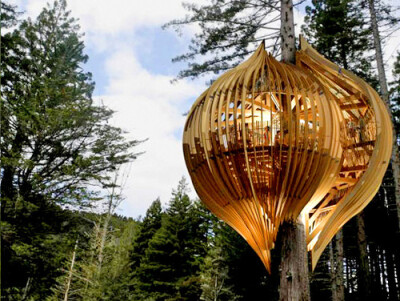 Unique Restaurant Pops-Up In A Redwood Tree!