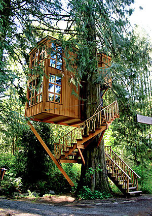 Tree house.