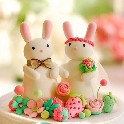 兔子的婚礼...